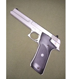 Smith & Wesson  2206  .22LR